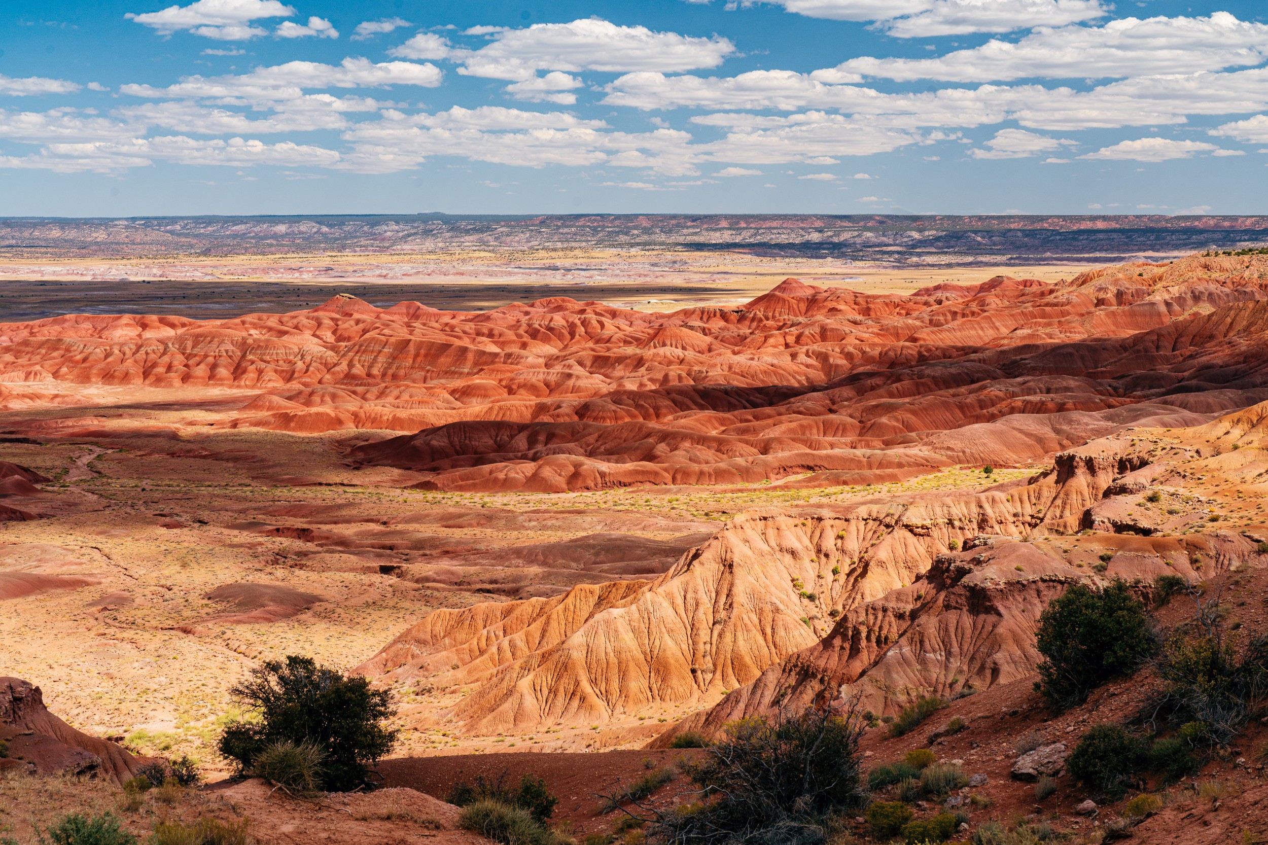 USA 2024 5 Sterne 78